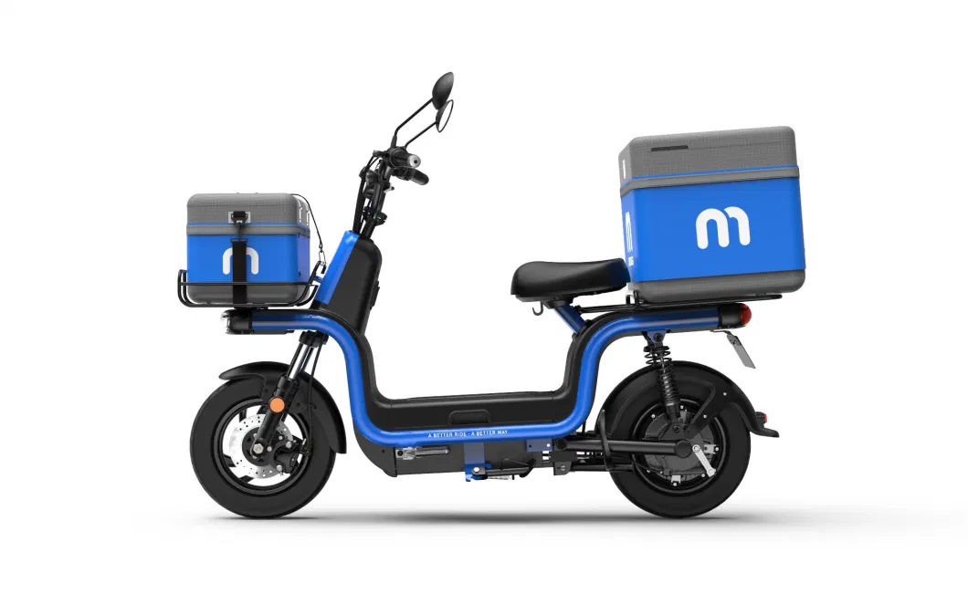 Electric Cargo Scooter High Speed Maxspeed Above 60km/H 1500W Motor with Lead Acid/Lithium Battery