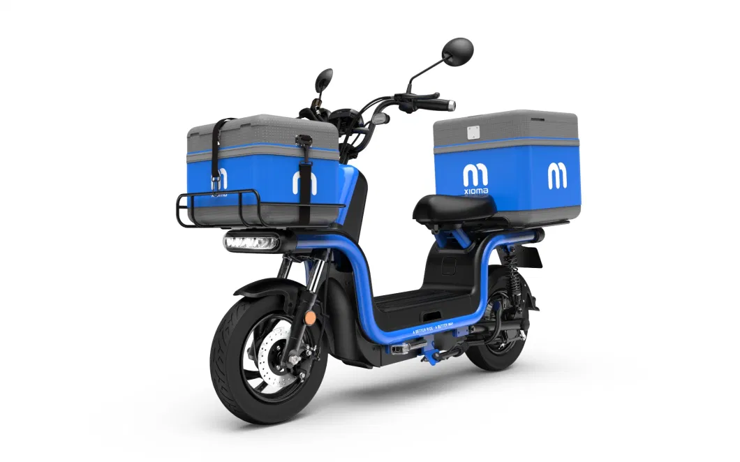 Electric Cargo Scooter High Speed Maxspeed Above 60km/H 1500W Motor with Lead Acid/Lithium Battery