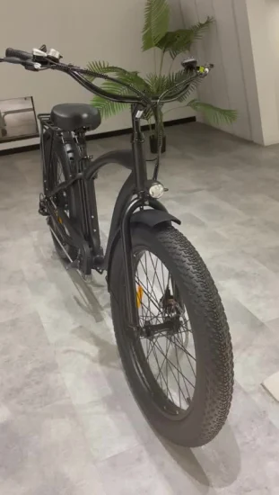 Китай 750 Вт электрический велосипед с толстыми шинами Ebike для мужчин с полной подвеской